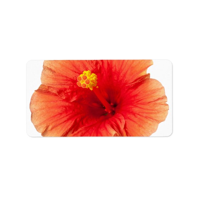 Etiqueta Naranja Amarillo Hibiscus Tropical Flower Hawaii (Frente)