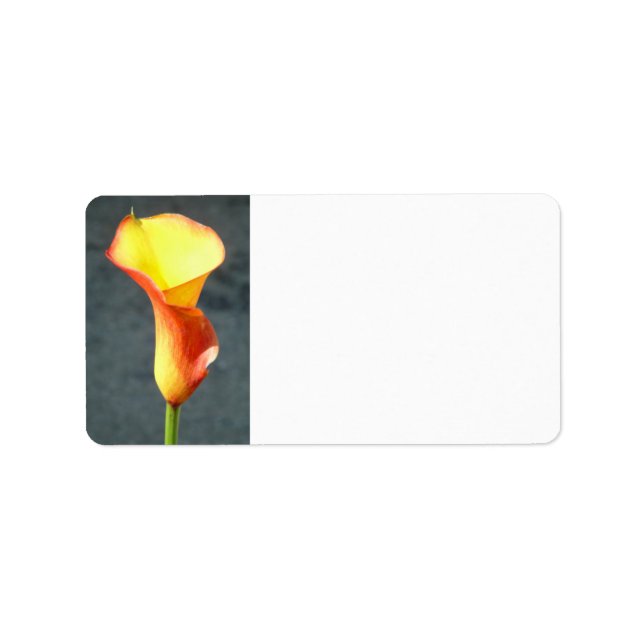 Etiqueta Naranja Calla Lily (Frente)
