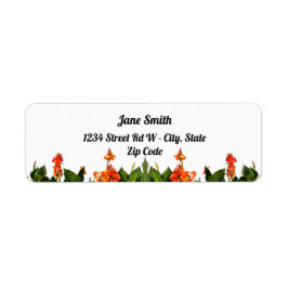 Etiqueta Naranja Canna Lilies Y Sale Dirección De Retorno