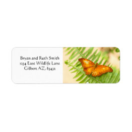 Etiqueta Naranja Cruiser Butterfly