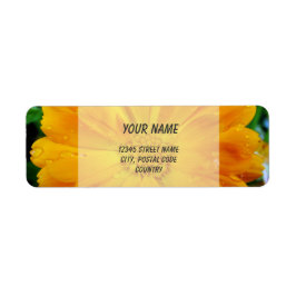 Etiqueta naranja gerbera daisy