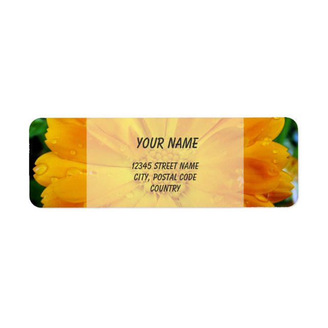 Etiqueta naranja gerbera daisy (Frente)