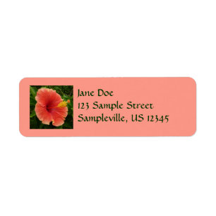 Etiqueta Naranja Hibiscus Flower Tropical Floral