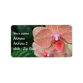 Etiqueta Naranja Orquídeas