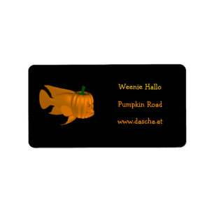 Etiqueta Naranja Red Devil Cichlid