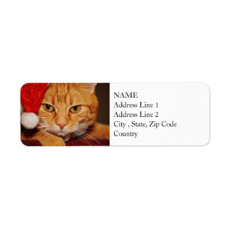 Etiqueta Naranja Santa Kitty: Feliz Navidad al gato