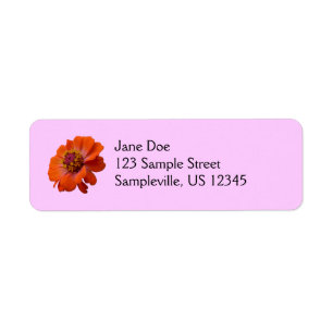 Etiqueta Naranja Zinnia Wildflower Naturaleza Floral