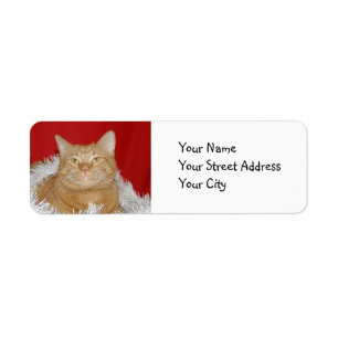 Etiqueta Navidad anaranjado del tabby