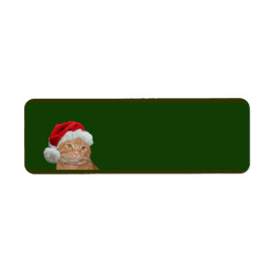 Etiqueta Navidad anaranjado del tabby