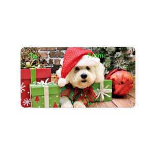 Etiqueta Navidad - Bichon Frise - margarita