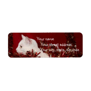Etiqueta Navidad blanco del gatito
