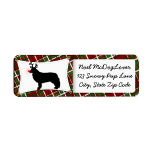 Etiqueta Navidad del reno del border collie