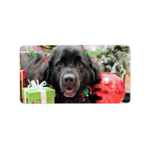 Etiqueta Navidad - Terranova - Izzie