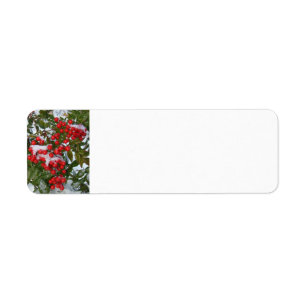 Etiqueta Navidades Berries