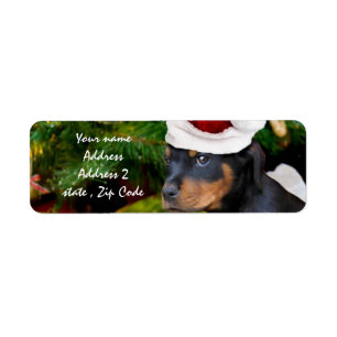 Etiqueta Navidades cachorro Rottweiler