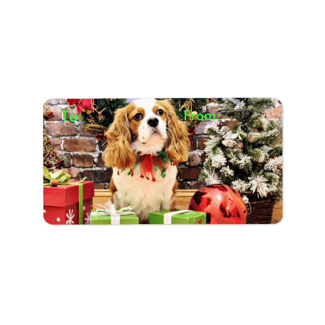 Etiqueta Navidades - Cavalier King Charles Spaniel Maverick (Frente)