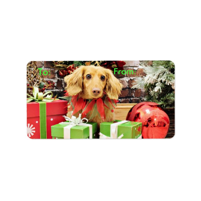 Etiqueta Navidades - Dachshund - Bo (Frente)