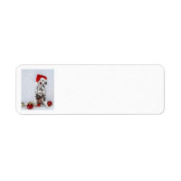 Navidades Dalmatian