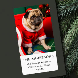 Etiqueta Navidades de fotos de perros que adoran la fotogra