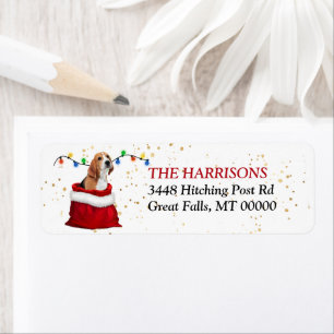 Etiqueta Navidades de perro de Beagle Cute Regalo Dirección