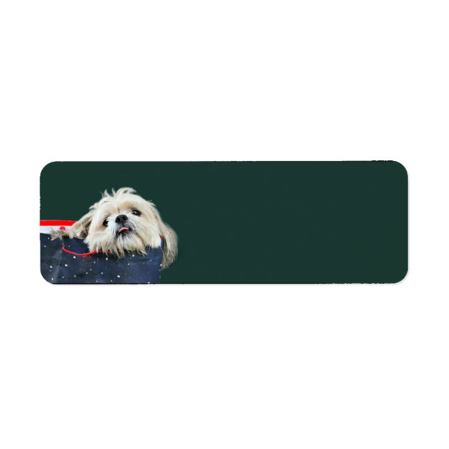 Etiqueta Navidades de Shih Tzu (Frente)