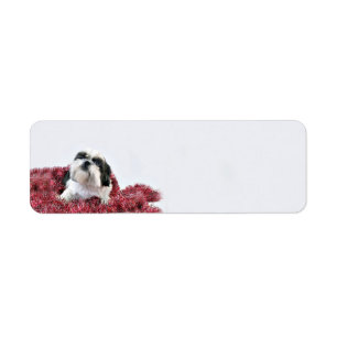 Etiqueta Navidades de Shih Tzu