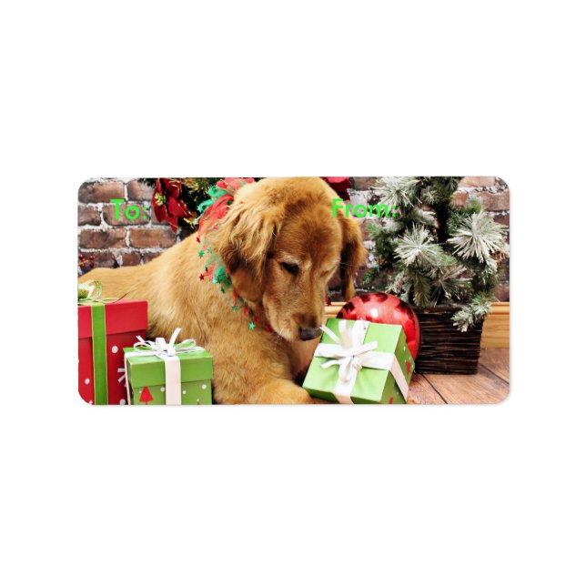 Etiqueta Navidades - Golden Retriever - Addison (Frente)