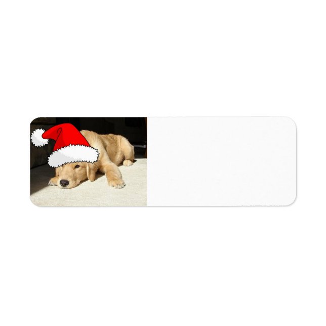Etiqueta Navidades Golden Retriever Pup (Frente)