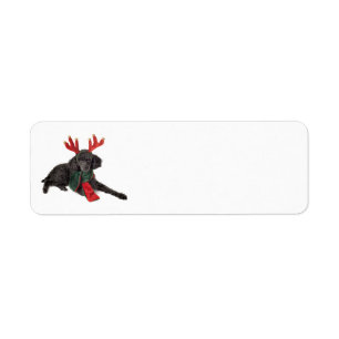 Etiqueta Navidades Perro de juguete negro vestido de reno