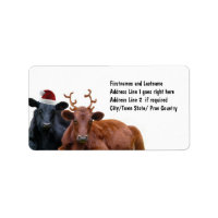 Navidades vacacionan vacas en Santa Hat y Antlers
