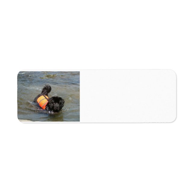 Etiqueta nefie en agua.png (Frente)