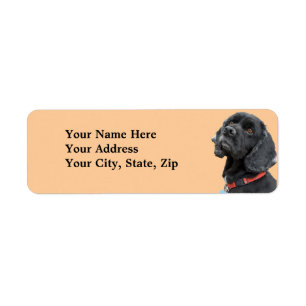 Etiqueta negra de cocker spaniel