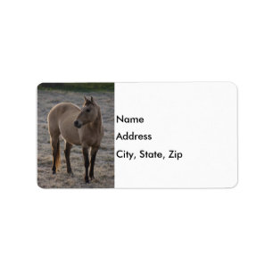 Etiqueta ¿No soy Bonito?