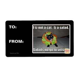 Etiqueta No soy un gato. Es una ensalada.