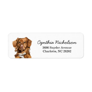 Etiqueta Nova Scotia Duck Tolling Retriever Dog