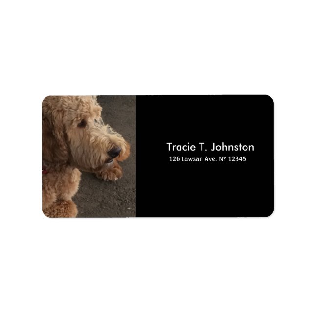 Etiqueta Nueva dirección del Airedale Terrier (Frente)