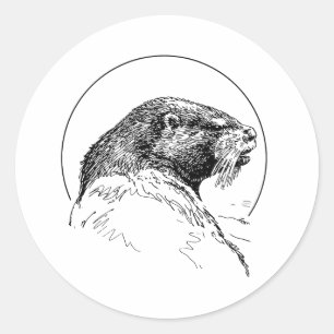 ETIQUETA NUTRIA