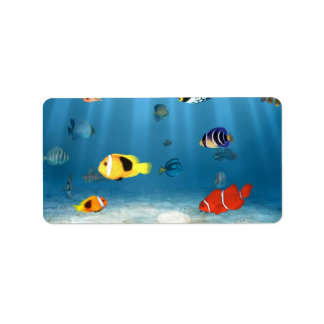 Etiqueta Océanos de peces