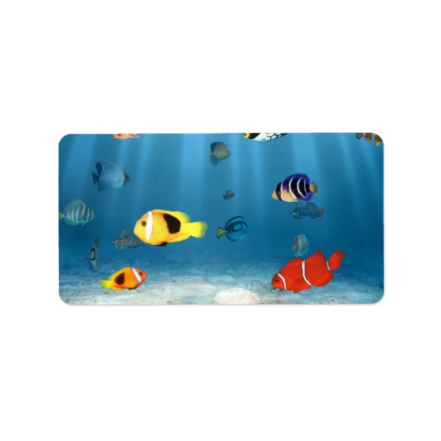 Etiqueta Océanos de peces (Frente)