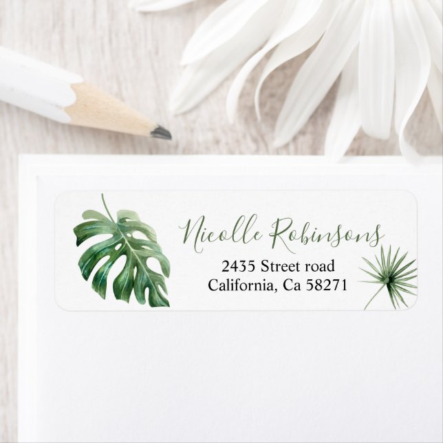 Etiqueta of direction Monstera tropical (In situ)