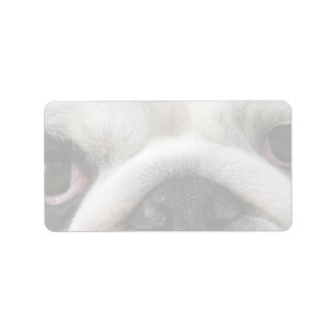 Etiqueta Ojos de Bulldog