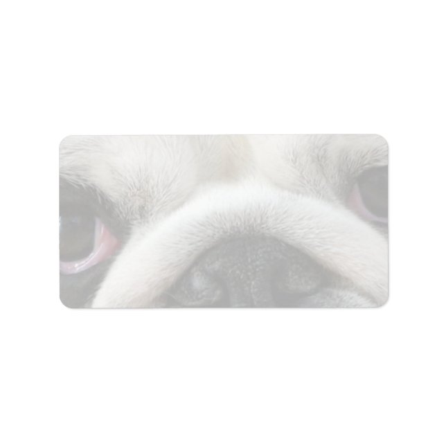 Etiqueta Ojos de Bulldog (Frente)