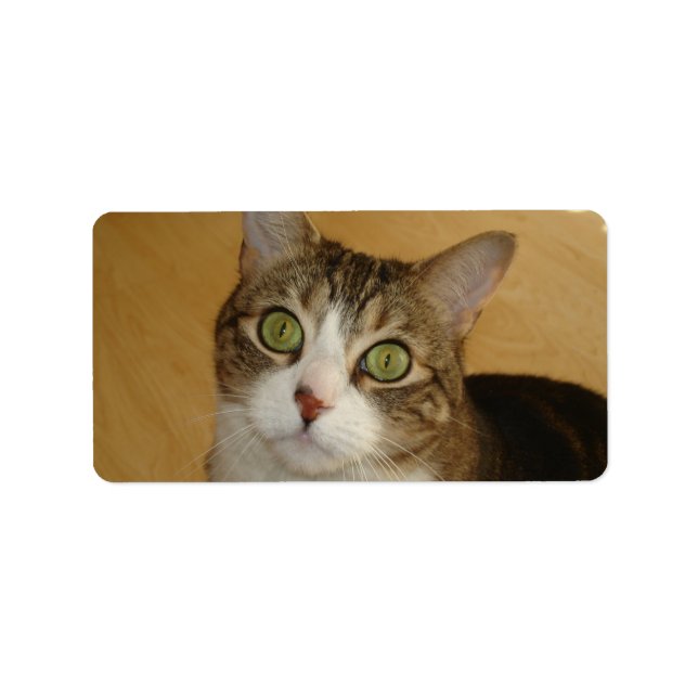 Etiqueta Ojos de gato (Frente)