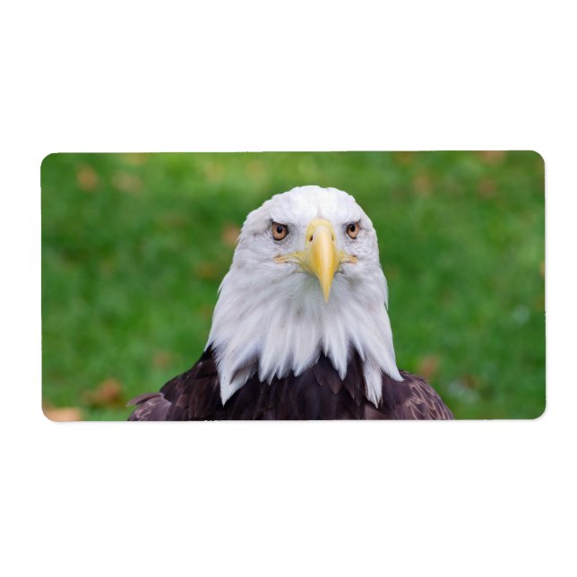 Etiqueta Ojos de un águila (Frente)