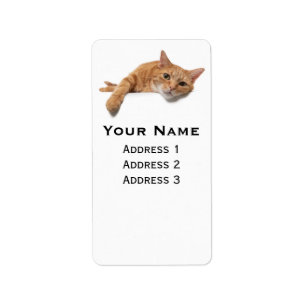 Etiqueta Orange Cat Laying Down