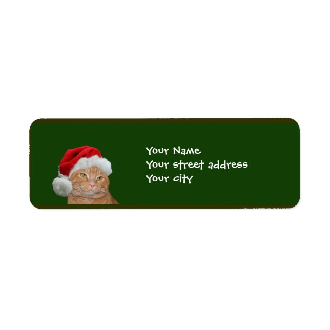 Etiqueta Orange tabby Christmas (Frente)