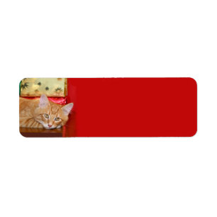 Etiqueta Orange tabby Christmas