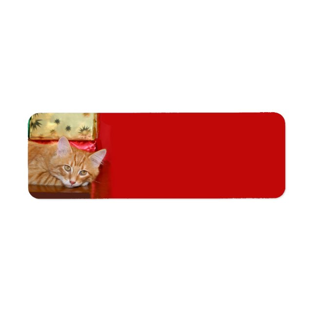 Etiqueta Orange tabby Christmas (Frente)
