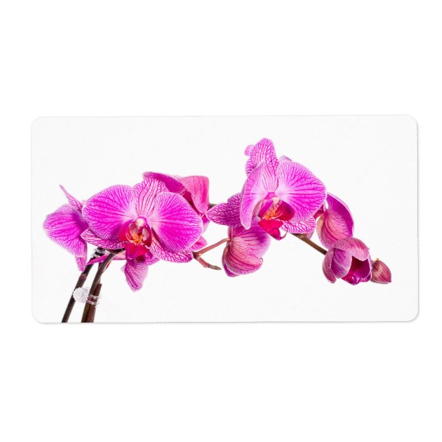 Etiqueta Orchid (Frente)