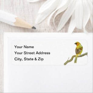 Etiqueta Oriole Hooded